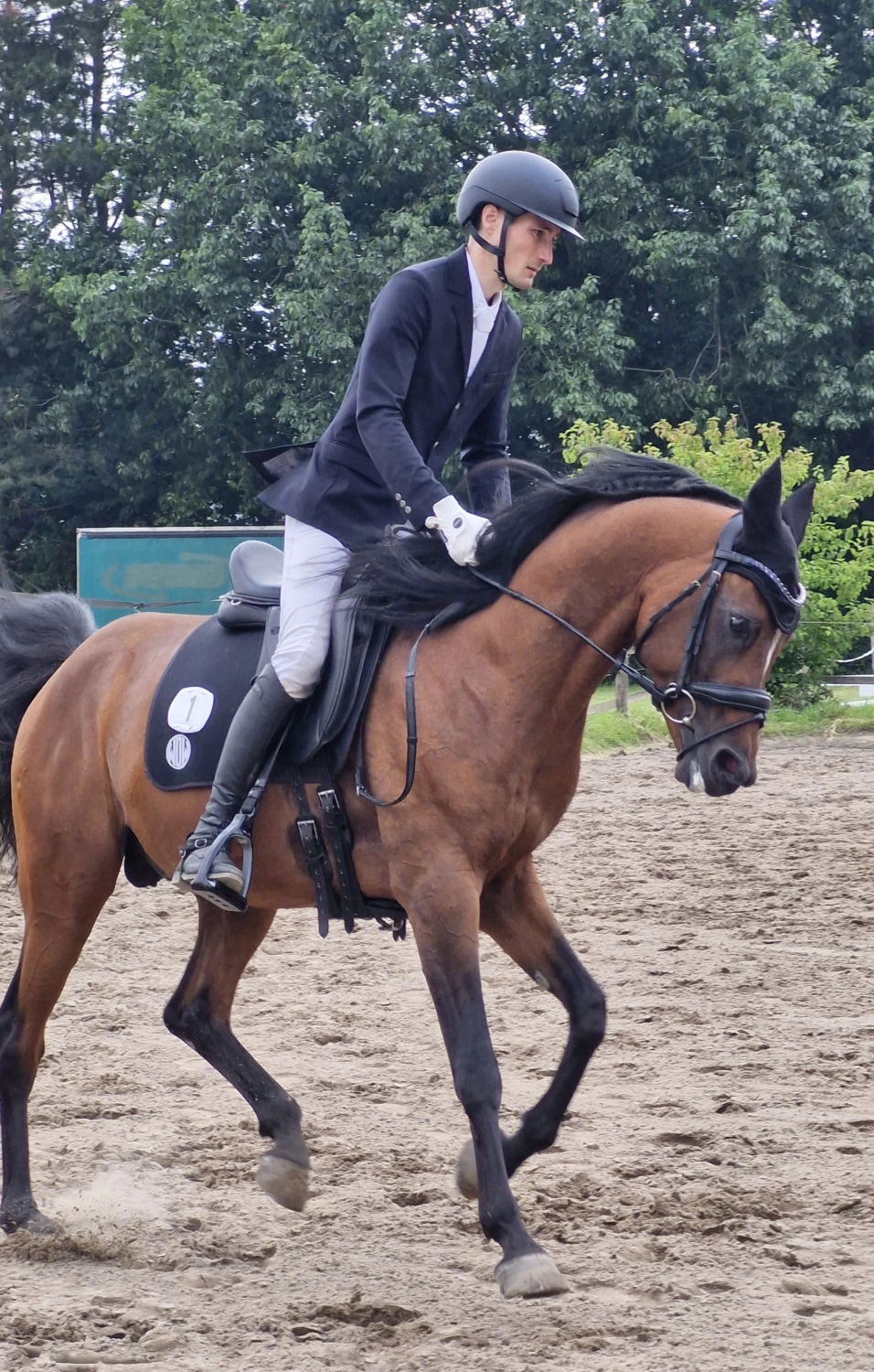Aladin von Heidehof